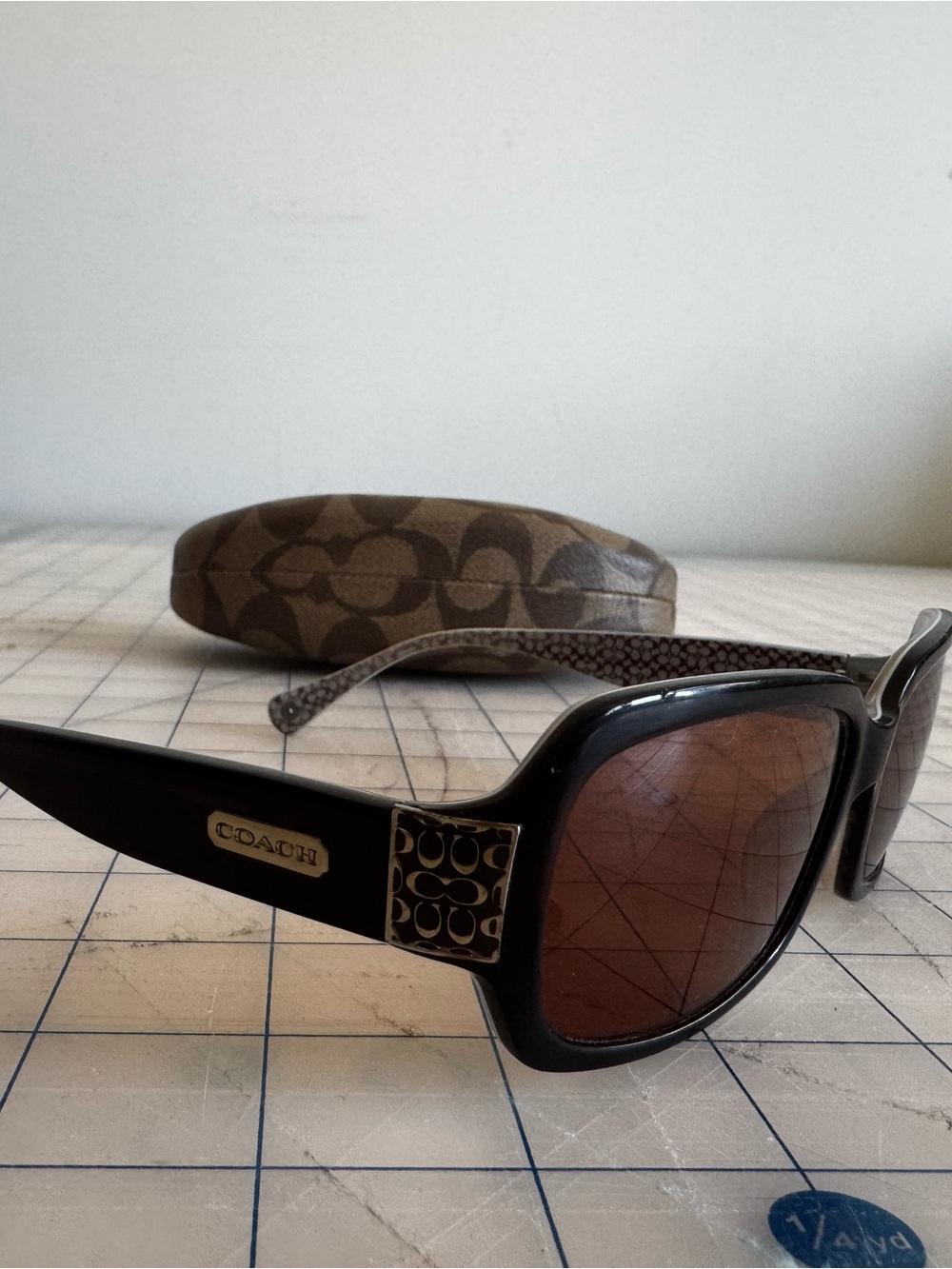 Coach Dark Brown Frame Sunglasses with Brown Lenses
